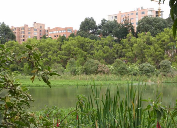 Image Venta de apartamentos por el Humedal Córdoba
